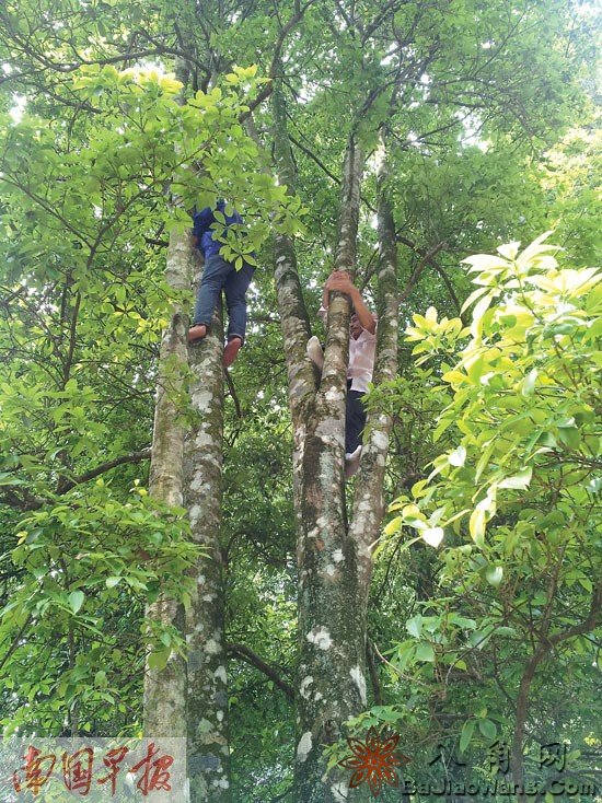 �������˽�����ҵ����ʿ���� ��Ц����������