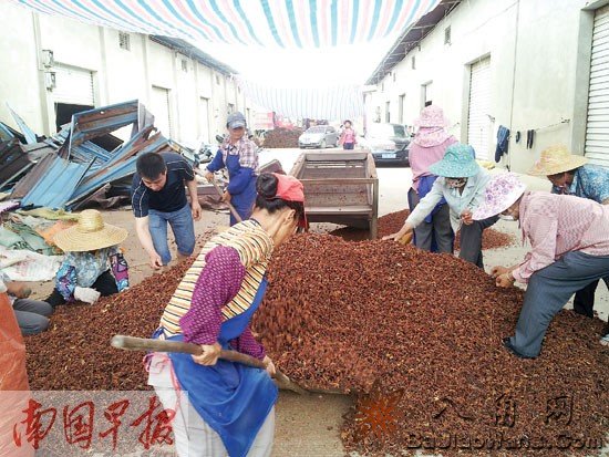 �������˽�����ҵ����ʿ���� ��Ц����������