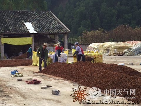 ��������������ع����˽�����